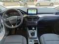 Ford Kuga 1.5 EcoBlue 120 CV 2WD Titanium Bianco - thumbnail 9