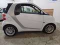 smart forTwo Fortwo 1.0 more white 71cv Bianco - thumbnail 6