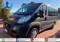 Fiat Ducato 9 POSTI * VETRATO * IVA * VETTURA Gris - thumbnail 1