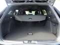 Ford Focus Turnier 1.0 EcoB.mHEV ST-Line LED,Navi,ACC Schwarz - thumbnail 8