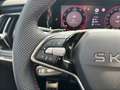 Skoda Kodiaq RS 4x4 TSI DSG Grau - thumbnail 20