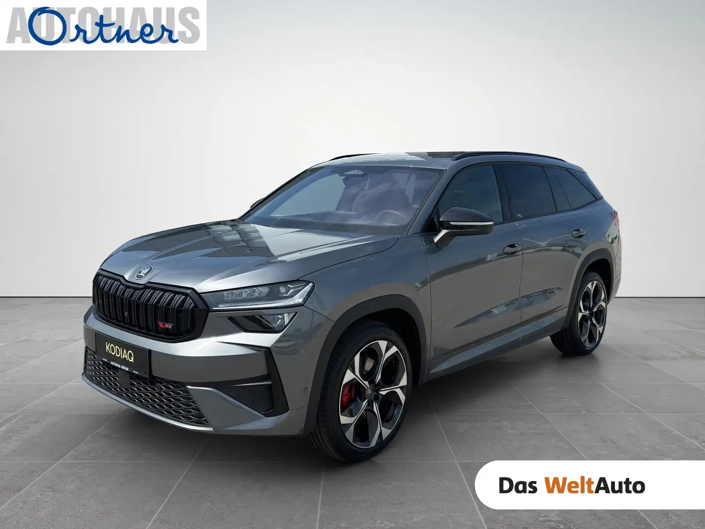 Skoda Kodiaq RS 4x4 TSI DSG Grau - 1
