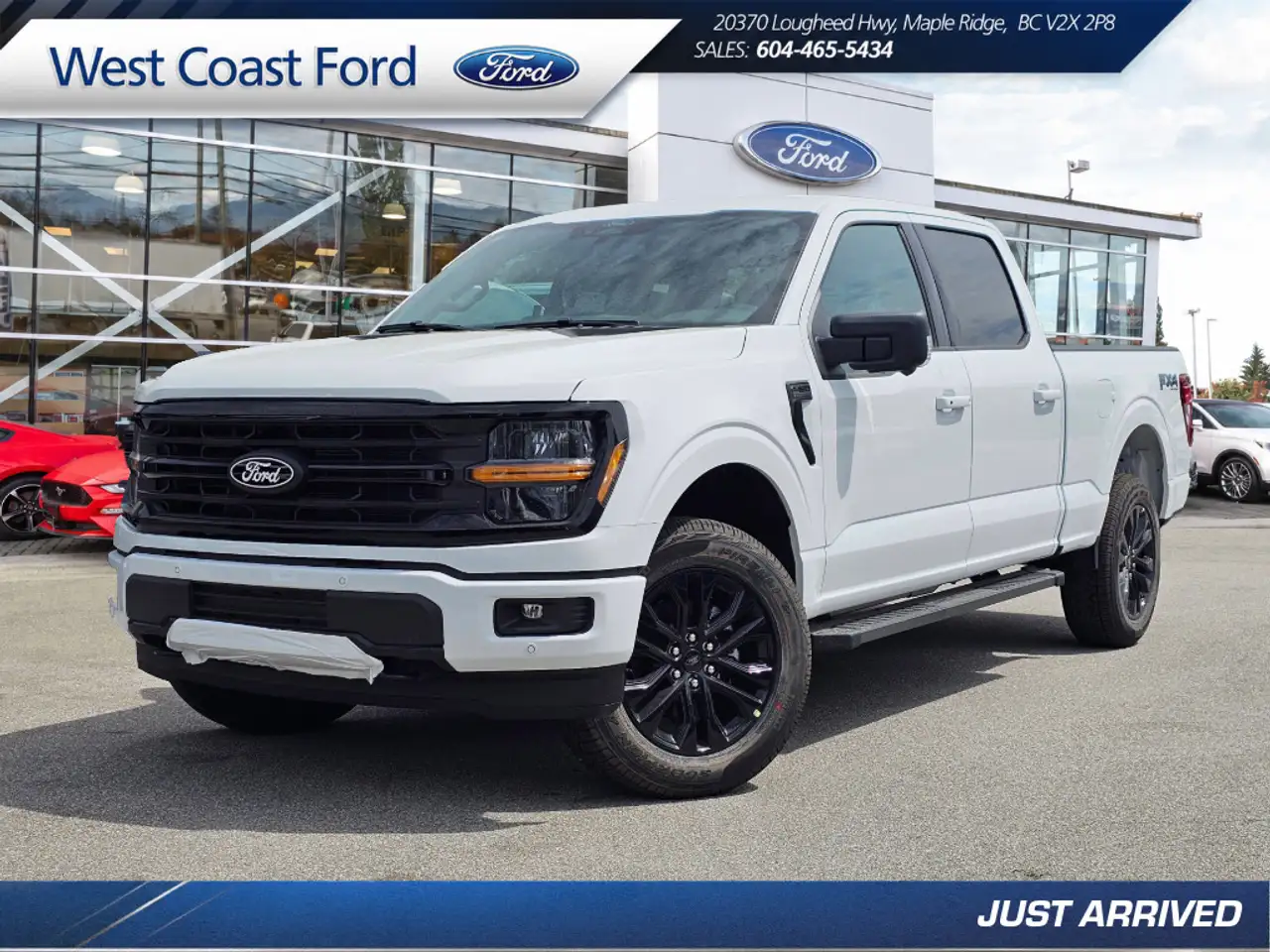 2026 Ford F 150