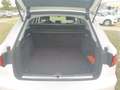 Audi A4 Avant 40 2.0 tdi quattro 190cv s-tronic Bianco - thumbnail 15