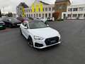 Audi S5 S5 Sportback TDI quattro tiptronic Blanc - thumbnail 4