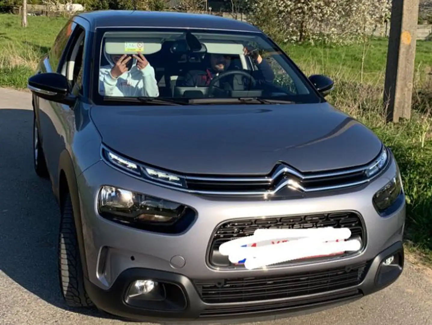 Citroen C4 Cactus 1.2 PureTech Shine (EU6.2) Grijs - 1