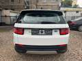 Land Rover Discovery Sport D180 AWD Automatik *Navi*LED Blanc - thumbnail 5