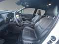 Lexus LBX 1.5 FWD Relax +Safe&Sound Paket+ Weiß - thumbnail 10