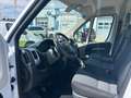 Fiat Ducato L2H2, MwSt., guter Zustand, Pickerl bis 02/26,... Weiß - thumbnail 6