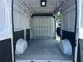 Fiat Ducato L2H2, MwSt., guter Zustand, Pickerl bis 02/26,... Weiß - thumbnail 20