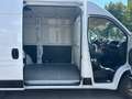 Fiat Ducato L2H2, MwSt., guter Zustand, Pickerl bis 02/26,... Weiß - thumbnail 19