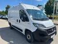 Fiat Ducato L2H2, MwSt., guter Zustand, Pickerl bis 02/26,... Weiß - thumbnail 2