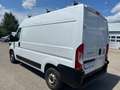 Fiat Ducato L2H2, MwSt., guter Zustand, Pickerl bis 02/26,... Weiß - thumbnail 5