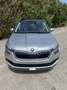 Skoda Kamiq 1.0 TSI Ambition Argent - thumbnail 2