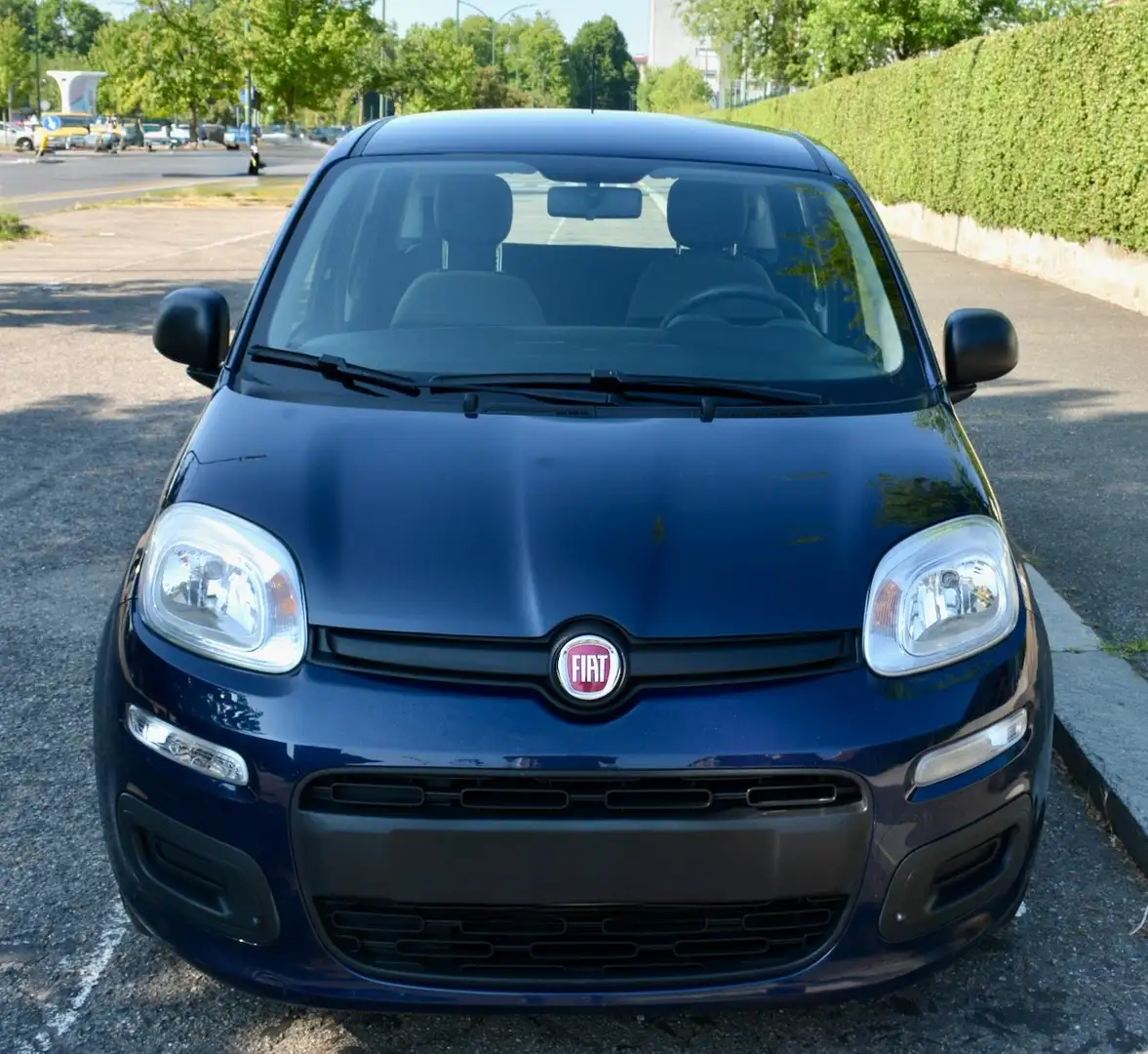 Fiat Panda Panda 1.0 firefly hybrid s Blu/Azzurro - 2