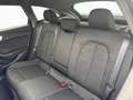 Audi A5 Av. 150 PS - S line - KAMERA - ACC - LED Grau - thumbnail 12