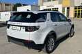 Land Rover Discovery Sport Discovery Sport 2.0 TD4 150 CV SE Blanc - thumbnail 5