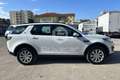 Land Rover Discovery Sport Discovery Sport 2.0 TD4 150 CV SE Blanc - thumbnail 4