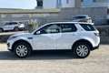 Land Rover Discovery Sport Discovery Sport 2.0 TD4 150 CV SE Blanc - thumbnail 8