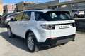 Land Rover Discovery Sport Discovery Sport 2.0 TD4 150 CV SE Blanc - thumbnail 7
