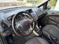 Ford B-Max B-Max 1.4 Plus Gpl 87cv E6 Grigio - thumbnail 11