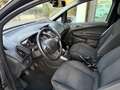 Ford B-Max B-Max 1.4 Plus Gpl 87cv E6 Grigio - thumbnail 10