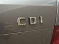 Mercedes-Benz C 220 Estate 220CDI BE Avantgarde Aut. Grigio - thumbnail 20