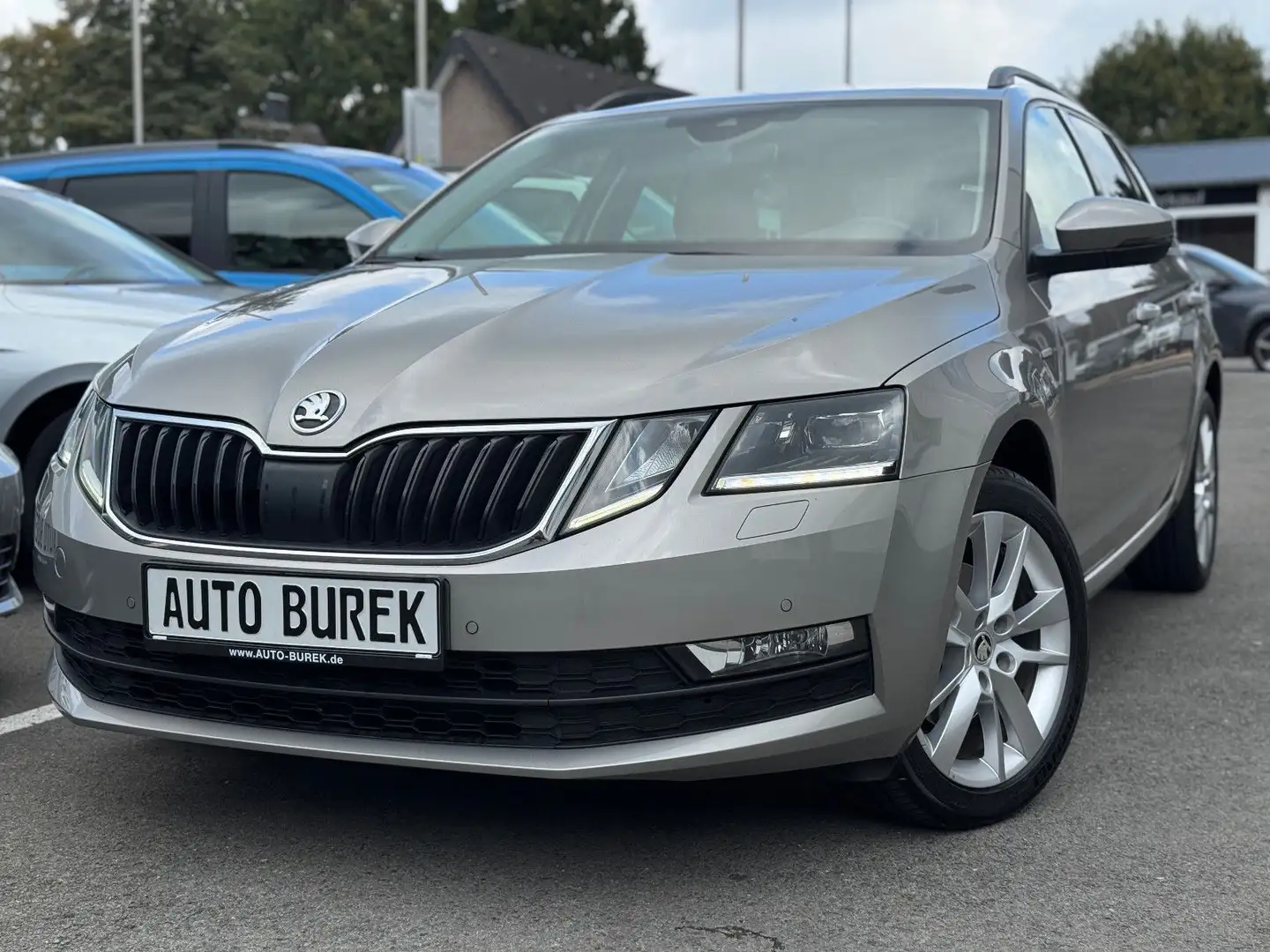 Skoda Octavia Combi DSG Navi LED ACC RüK Spur Canton Beige - 1