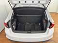 Skoda Fabia Selection TSI DSG Weiß - thumbnail 15