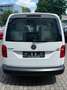 Volkswagen Caddy 2.0 TDI Nfz Maxi Kasten BMT 4Motion Regal Blanc - thumbnail 3