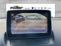 Mazda CX-3 G 120 PS 6GS SPORTS Rot - thumbnail 10