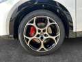 Alfa Romeo Tonale Ti 48V-Hybrid 360°KAM SHZG NAVI 19'' LED ACC Weiß - thumbnail 12