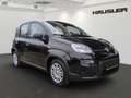 Fiat Panda Hybrid 1.0 GSE Klimaanlage PDC Schwarz - thumbnail 2