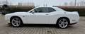 Dodge Challenger 5.7 V8 R/T 375cv at8 - thumbnail 3