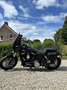 Harley-Davidson Dyna Street Bob fxdb - thumbnail 2