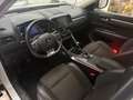 Renault Koleos Koleos 1.6 dCi Intens Blanc - thumbnail 6