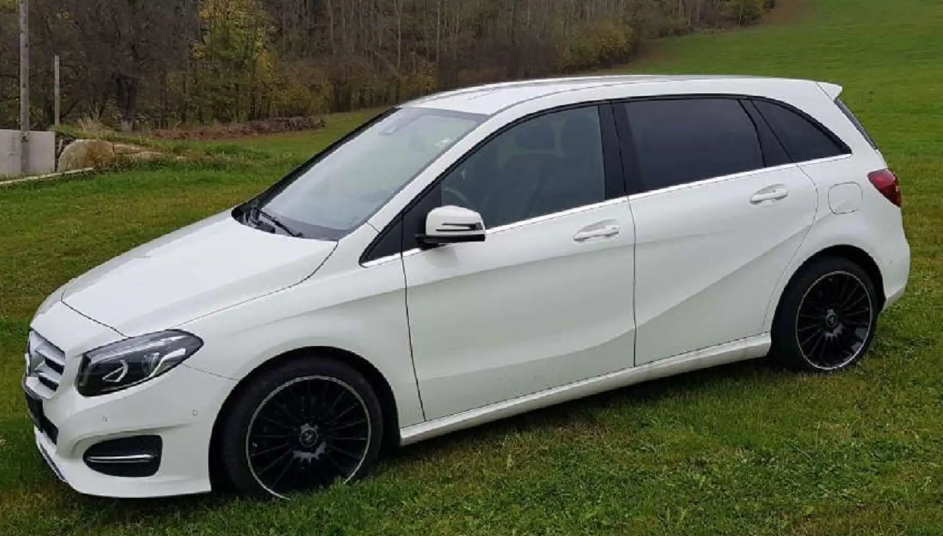 Mercedes-Benz B 200 B 200 d Aut. Weiß - 1