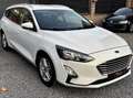 Ford Focus Focus Active 1.5 EcoBlue Business Blanc - thumbnail 7