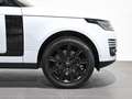 Land Rover Range Rover 2.0 i4 PHEV Vogue 4WD Aut. Blanco - thumbnail 8