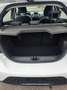 Ford Ka/Ka+ Cool  Sommer u. Winterräder Blanc - thumbnail 6