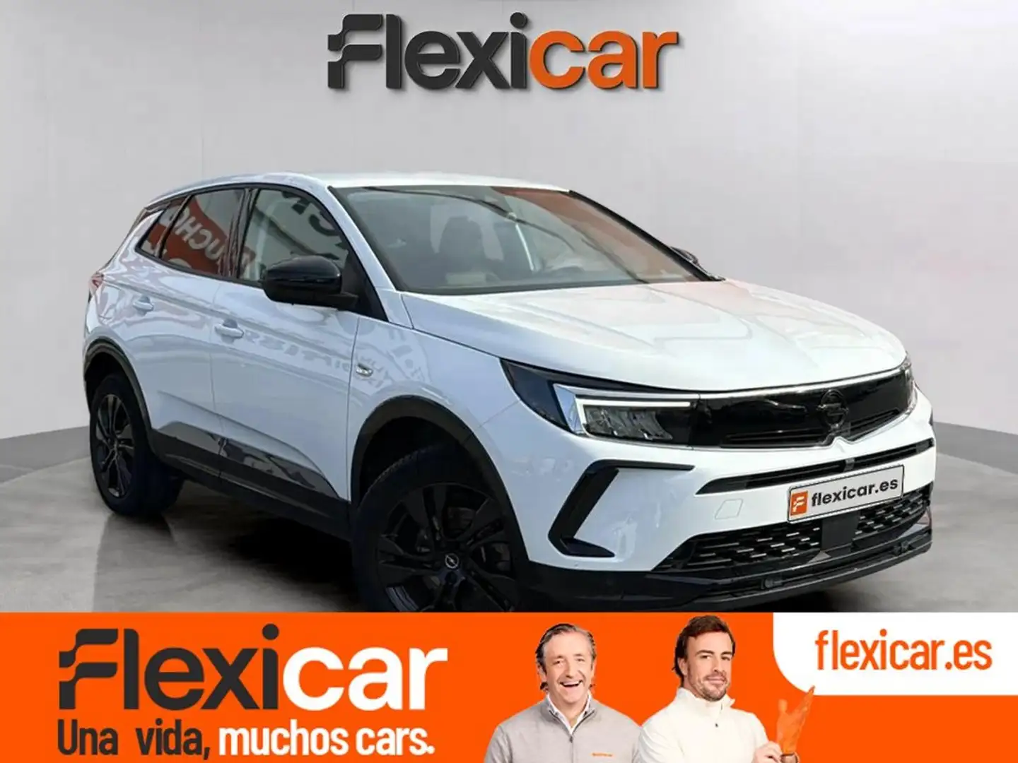 Opel Grandland 1.5CDTi S&S Design & Tech Aut. 130 Blanco - 1