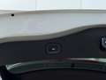 Renault Koleos Intens 2.0 BLUE dCi 185 FAP Grau - thumbnail 17