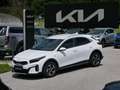 Kia XCeed Xceed 1,0 TGDI GPF Silber Weiß - thumbnail 1
