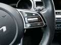 Kia XCeed Xceed 1,0 TGDI GPF Silber Weiß - thumbnail 11