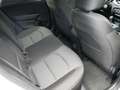 Kia XCeed Xceed 1,0 TGDI GPF Silber Weiß - thumbnail 16