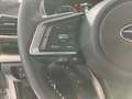 Subaru XV Platinum,Leder , Navigation White - thumbnail 14