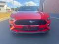 Ford Mustang Mustang Convertible 5.0 Ti-VCT V8 Aut. GT Rot - thumbnail 1