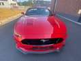 Ford Mustang Mustang Convertible 5.0 Ti-VCT V8 Aut. GT Rot - thumbnail 5