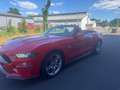 Ford Mustang Mustang Convertible 5.0 Ti-VCT V8 Aut. GT Rot - thumbnail 3