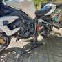 Triumph Street Triple R 675 Blanc - thumbnail 8